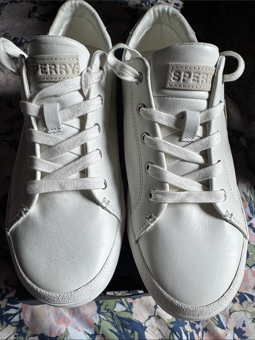 Sperry Leather shoes ( Brandnew )